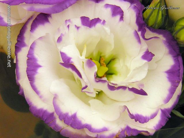 PB073115.JPG